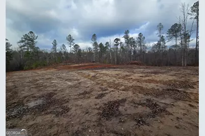 00 Martin Mill Road, Eatonton, GA 31024 - Photo 13