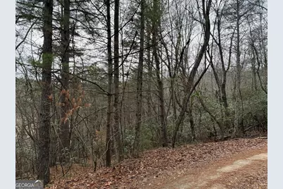 Lot 27 Ideal Acres, Otto,  28763 - Photo 5