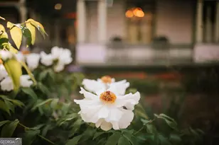 229 Woodlawn Dr, Crawford, GA 30630 - Photo 3