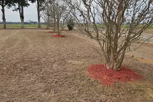 5545 Noble Gin Rd, Pinehurst, GA 31070 - Photo 27