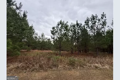 3794 Millen Highway, Sylvania, GA 30467 - Photo 15