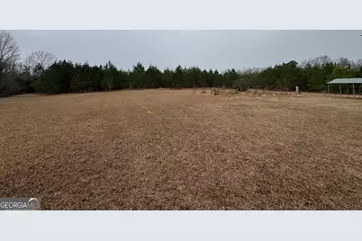 3794 Millen Highway, Sylvania, GA 30467 - Photo 9