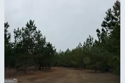 3794 Millen Highway, Sylvania, GA 30467 - Photo 13