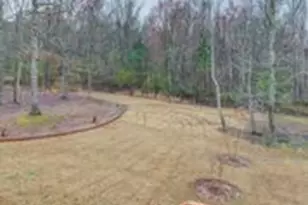 110 Green Branch Dr, Tyrone, GA 30290 - Photo 27