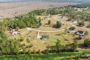 59 Pinto Ct, Woodbine, GA 31569 - Photo 7