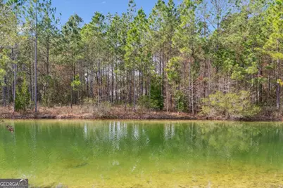 59 Pinto Court, Woodbine, GA 31569 - Photo 13