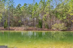 59 Pinto Ct, Woodbine, GA 31569 - Photo 13