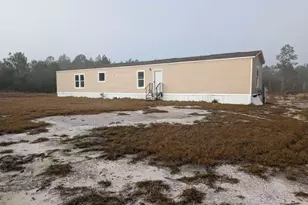 393 Crossing Dr, Nahunta, GA 31553 - Photo 5