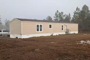 393 Crossing Dr, Nahunta, GA 31553 - Photo 1