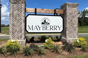 146 Griffith Ln, Statesboro, GA 30458 - Photo 3