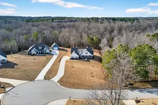 295 Walden Pond Trail, Senoia, GA 30276 - Photo 49