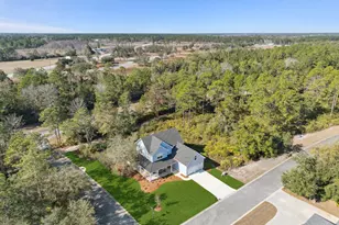 506 Blue Heron Trail, Waverly, GA 31565 - Photo 43