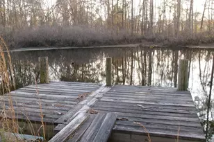 17827 Ga Hwy 129 N, Claxton, GA 30417 - Photo 5