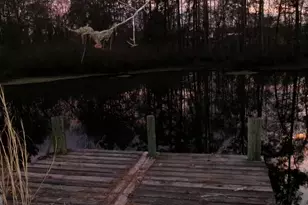 17827 Ga Hwy 129 N, Claxton, GA 30417 - Photo 5