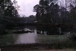 17827 Ga Hwy 129 N, Claxton, GA 30417 - Photo 3