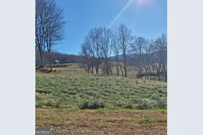 0 Big Valley Drive, Morganton, GA 30560 - Photo 9