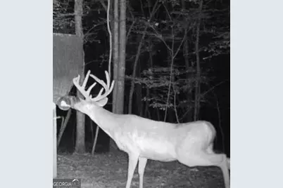 500 Old Milledgeville Road, Cochran, GA 31014 - Photo 35