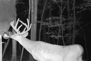 500 Old Milledgeville Rd, Cochran, GA 31014 - Photo 35