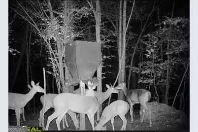 500 Old Milledgeville Road, Cochran, GA 31014 - Photo 33