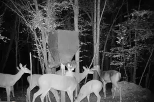 500 Old Milledgeville Rd, Cochran, GA 31014 - Photo 33