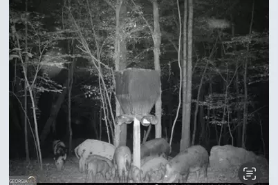 500 Old Milledgeville Road, Cochran, GA 31014 - Photo 37