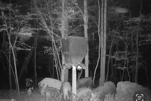 500 Old Milledgeville Rd, Cochran, GA 31014 - Photo 37