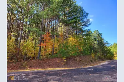 Lot 6 Black Bear Ridge Road #6, Ellijay, GA 30536 - Photo 7