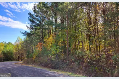 Lot 7 Ridge Top Drive #7, Ellijay, GA 30536 - Photo 3