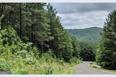 Lot 7 Ridge Top Drive #7, Ellijay, GA 30536 - Photo 19