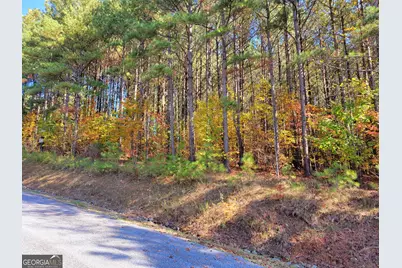 Lot 7 Ridge Top Drive #7, Ellijay, GA 30536 - Photo 7