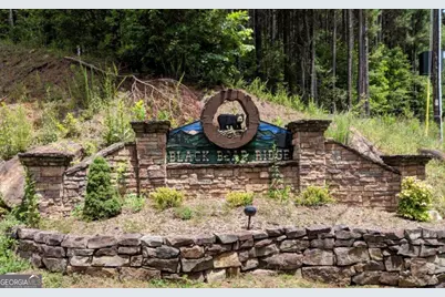 Lot 7 Ridge Top Drive #7, Ellijay, GA 30536 - Photo 15