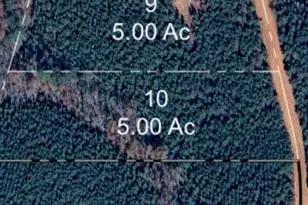 1455 Bethel Church Rd, Gay, GA 30251 - Photo 1