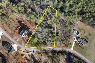 0 Nathaniels Wy, Blairsville, GA 30512 - Photo 1