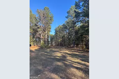 00 Geneva Highway, Talbotton, GA 31827 - Photo 1