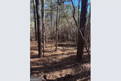 00 Geneva Highway, Talbotton, GA 31827 - Photo 5