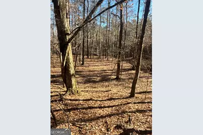 00 Geneva Highway, Talbotton, GA 31827 - Photo 11