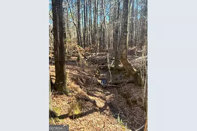 00 Geneva Highway, Talbotton, GA 31827 - Photo 7