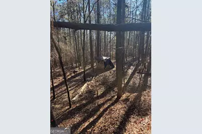 00 Geneva Highway, Talbotton, GA 31827 - Photo 3