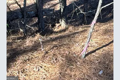 00 Geneva Highway, Talbotton, GA 31827 - Photo 13