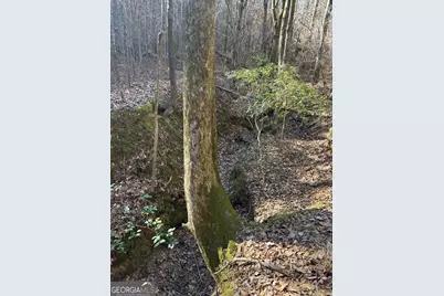 00 Geneva Highway, Talbotton, GA 31827 - Photo 9