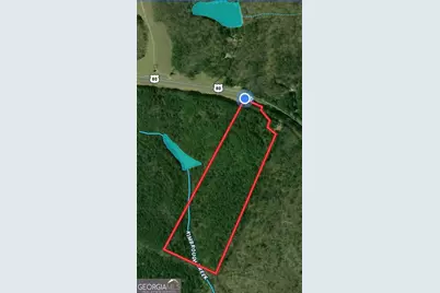 00 Geneva Highway, Talbotton, GA 31827 - Photo 15