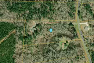 620 Rocky Creek Rd, Forsyth, GA 31029 - Photo 81