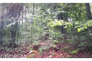 0 Turtle Cove Thruway, Monticello, GA 31064 - Photo 3