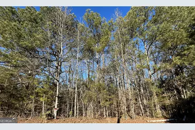 25 Skyview Drive, Social Circle, GA 30025 - Photo 3