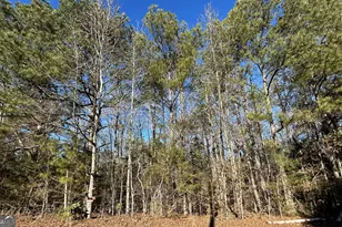 25 Skyview Dr, Social Circle, GA 30025 - Photo 3