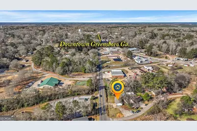 1160 Siloam Road, Greensboro, GA 30642 - Photo 3