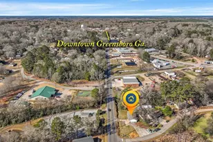 1160 Siloam Rd, Greensboro, GA 30642 - Photo 3