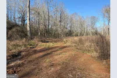 Parcel 2 Yatesville Rd, Barnesville, GA 30204 - Photo 23
