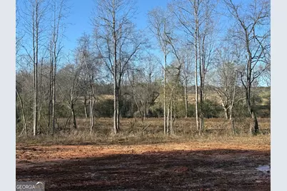 Parcel 2 Yatesville Rd, Barnesville, GA 30204 - Photo 19