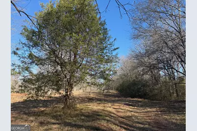Parcel 2 Yatesville Rd, Barnesville, GA 30204 - Photo 25